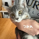 まだ全部じゃないですがご報告🍀