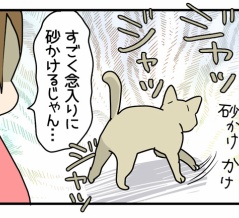 美味しいものを作ったはずなのに、キミの反応は