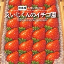 【徳島県吉野川市山川町】えいじくんのイチゴ園