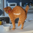 凝った体をほぐしたい！