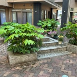『中庭✨』の画像