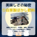 さつまいもの美味しさの秘訣＆セット商品販売開始！