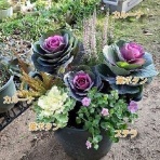 花のある暮らし