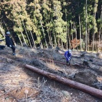 ツリートップ三望