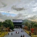 『世界文化遺産『御室仁和寺』 貴族の観た雅な大紅葉』の画像