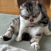 不運続きの日は幸運1つで帳消しになります～♪