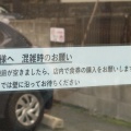 麺屋さすけ本店【手打ち鰹中華そば＋旬の筍ご飯】＠掛川市中央３丁目