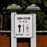 『2025『ﾉｽﾀﾙｼﾞｰ紀行「尾道」そぞろ歩き⓮』広島県尾道市』の画像