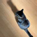 （6002）休日の終わり。