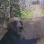 クマに襲われ生き残った人たちのその後が、あまりにも・・・・・・・・・