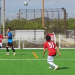 FCBRAION official web site