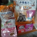 NPO法人 福井犬猫を救う会