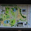 白つづじ公園（松ケ池公園）