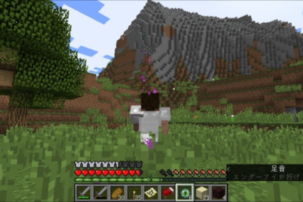 Fool On The Hill Minecraft