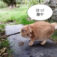 外した？