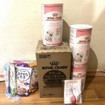 NPO法人　動物愛護団体ワンハート大阪