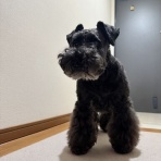 オーチャンネル☆