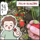 念願の！？プランターでいちご狩り！