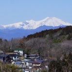 YUMIKOの写真日記