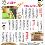 ファンホームのはなまる日記