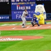 【動画】あのちゃんさん、始球式でマウンドからノーバンの無回転カーブを披露