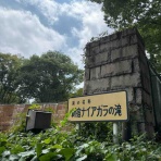減量に苦しむサブスリーランナーの練習日記