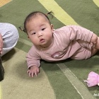 『ルナちゃんと初めての対面＆ひーちゃん（よ～いどん）』の画像