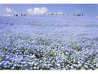 原発利権なる松利権を管轄する経産省の元官僚で支配層のサンカ工作員の役割の茨城県知事・大井川和彦