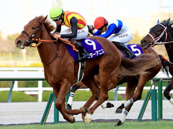 【桜花賞】スターアニスってどうなん？