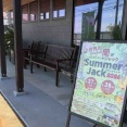 全国の洋らん店が大集合！グルメ出店も！西蒲区竹野町にある『OC garden』で『Summer Jack 2026』開催！6月27日、28日。