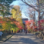 晴れ 時々 マーケティング