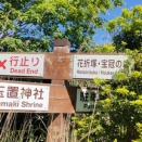 玉置神社_後