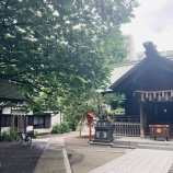 『芽が出る場所に行け　vol.3646』の画像