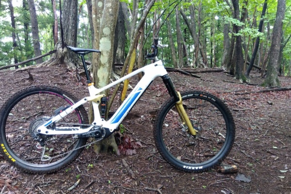 中華カーボン29er /ダイナソートレイルツアー/お問い合わせはPC版