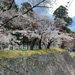 サングラスとメガネのプロショップ