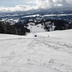 新潟市ジュニアスキーチーム　