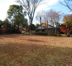 OH！掃除３　からの前夜祭