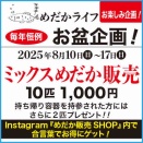 めだかライフ　ミックスめだか10匹販売！
