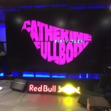 『【激闘の記録】『キャサリン・フルボディ』超先行バトルトーナメントに行ってきました』の画像