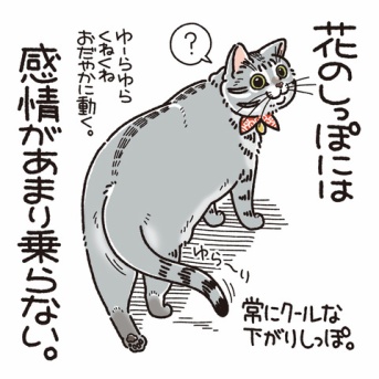 しっぽで伝わる気持ち〈花の場合〉