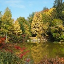 【紅葉】北見市内で唯一公共交通機関を利用して見られるお手軽紅葉スポット。100年以上の歴史を持つ道東でも古い公園"野付牛公園"