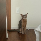 免疫力落ちた？蕁麻疹でて痒い߹-߹