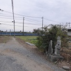 道ばたの神さま 探訪記