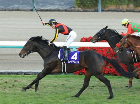 マスカレードボール129、クロワデュノール123、ミュージアムマイル有馬記念121