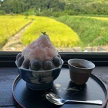 『天理～桜井 石上神宮から大神神社まで 今年も山の辺の道を歩いてきました！』の画像