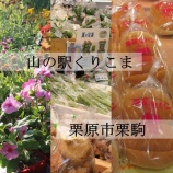 『「山の駅くりこま」〜栗原の豊かな恵み、ここに集結❗❗』の画像