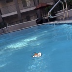 テネシー駐在生活→息子のカリフォルニア留学【ポンコツ帰国子女のリアルなその後】