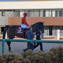 中山遠征記②（R8.3.8）