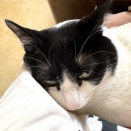 ☆嬉しいシビレ♪