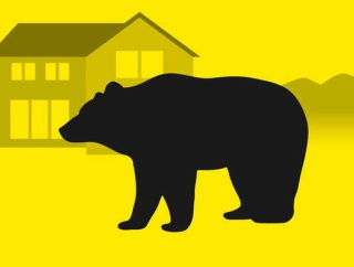 【🐻】「クマが道路上のポールにしがみついている」岩手の高速道に居座り　上下線3時間半通行止め